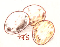 犬の食材　卵