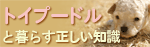 トイプードル